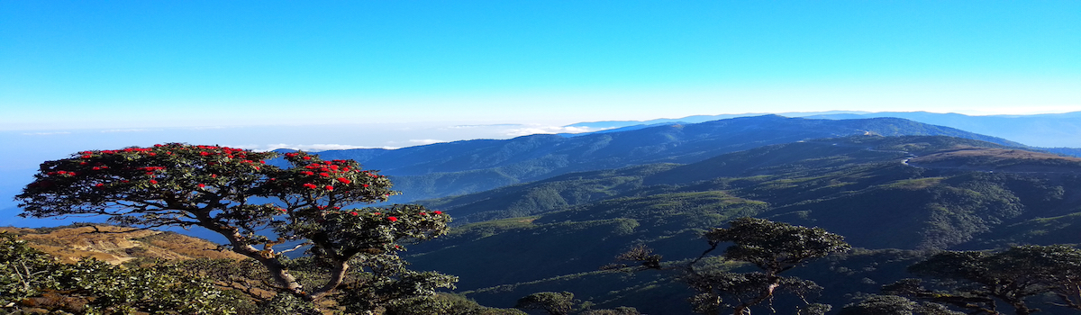 Chin state view point