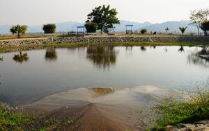 铁宾湖（意义为伞开着）
该湖泊也被称为（Umbrella Pond）伞开着，位于蒂莫索镇区，位于郁郁葱葱的稻田中心。 这个简陋的湖泊周长只有100英尺。湖周围美丽的稻田是世界各地游客的吸引力中心。 克耶人认为这个湖是由一条鳄鱼在白水牛的帮助下挖掘出来的。 地点：克耶邦、蒂莫索镇区