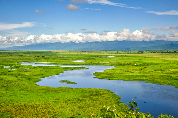 အင်းတော်ကြီးကန် တောရိုင်းတိရစ္ဆာန်ဘေးမဲ့တောမြန်မာနိုင်ငံတွင်အကြီးဆုံးလတ်ဆတ်သန့်ရှင်းသော ရေကန်ဖြင့်ဝန်းရံလျက်ရှိသည့် အင်းတော် ကြီးကန်တောရိုင်းတိရစ္ဆာန်ဘေးမဲ့တောကိုသွားရောက်လည်ပတ်နိုင်ပါသည်။ (၇၃,၆၀၀) ဟတ်တာ အကျယ်အဝန်းရှိပြီး ရှားပါးလုနီးပါးတိရစ္ဆာန်မျိုးစိတ်ပေါင်းမျိုးစုံကိုလည်းတွေ့ရှိနိုင်သည်။ ယခုလက်ရှိ တွင် UNESCOကမ္ဘာ့အမွေအနှစ်စာရင်းဝင်စင်တာအဖြစ် အသိအမှတ်ပြု ထားသည်။
တည်နေရာ-ကချင်ပြည်နယ်